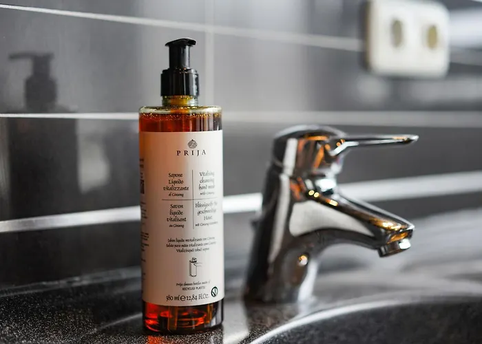 Katies - Zentral - 4 - 7 Personen - 2 Parken - Nintendo Switch - Disneyplus - E-kamin Appartement Augsburg